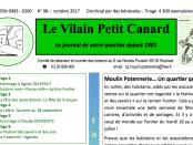 vilain petit canard
