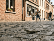 A lizard on a cobblestone street near a bookstore with people walking in the background